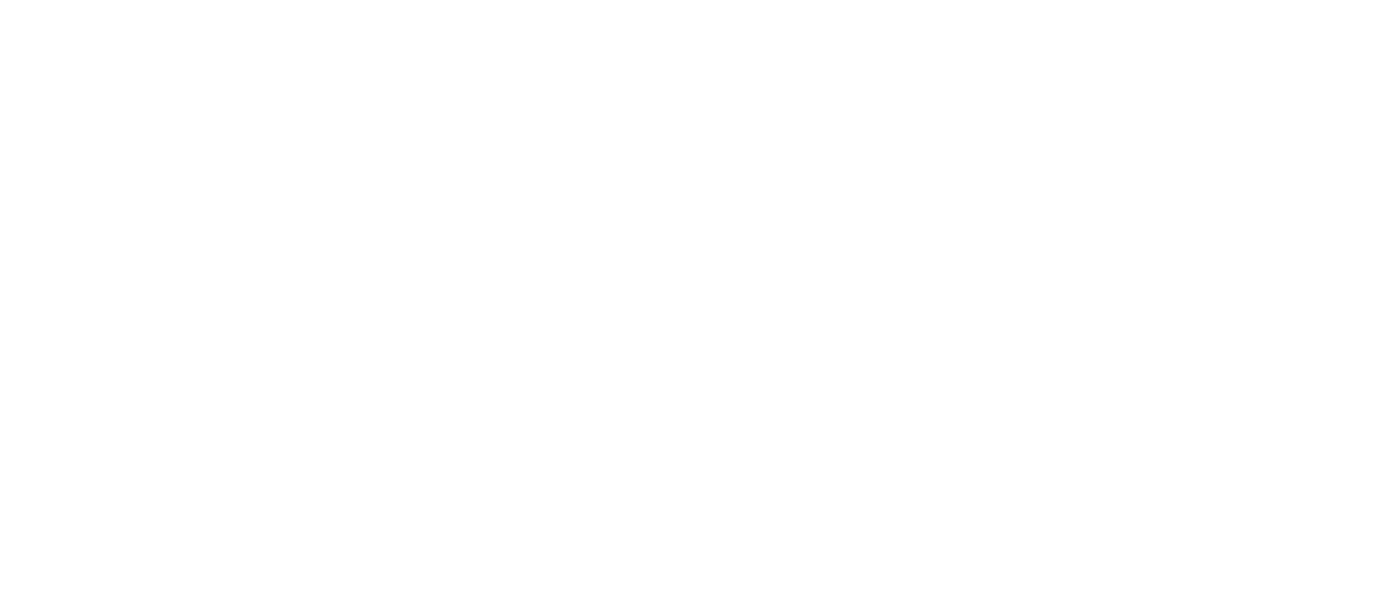 Viera-PayOff-wit-web-2000px